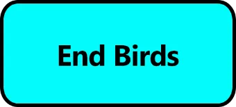 End birds
