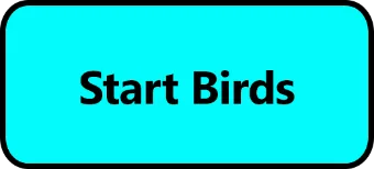Start birds