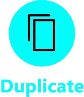 Duplicate